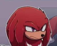 Knuckles -STH-