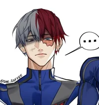Shoto todoroki 