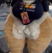 Thicc Fursuitter
