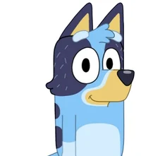 Adult Bluey