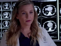 Arizona Robbins