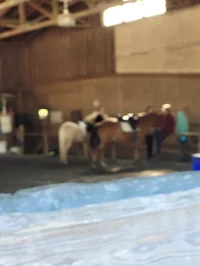 Horse riding