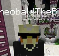 105 -Theobaldthebird