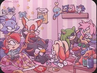 Sonic sleepover