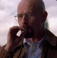 Walter White