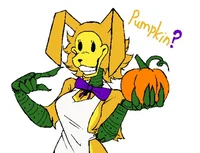 Female Pumpkin R
