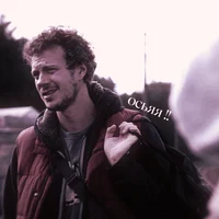 Максим Кольцов