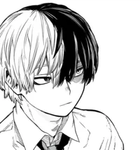 MHA Shoto Todoroki