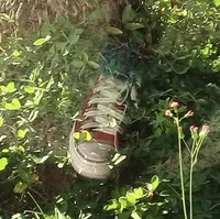 MHA - Izuku Midoriya