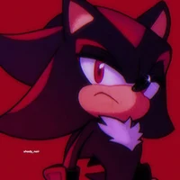 SHADOW T HEDGEHOG 
