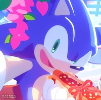 Sonic