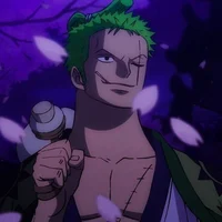 Zoro Roronoa 