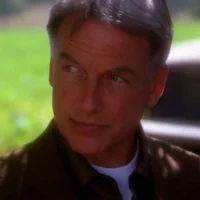 Leroy Jethro Gibbs