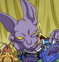 Lord Beerus 