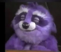 Fingers the Raccoon