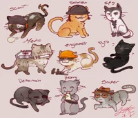 TF2 - Cats