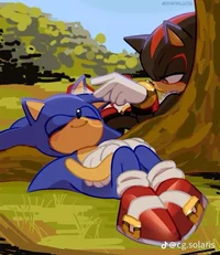SONIC N SHADOW V2