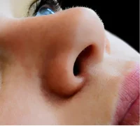 Woman Nose Rp