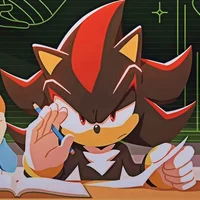 SHADOW T HEDGEHOG 
