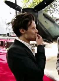 harry styles - mafia