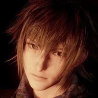 Noctis Lucis Caelum