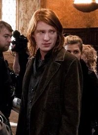 Bill Weasley 