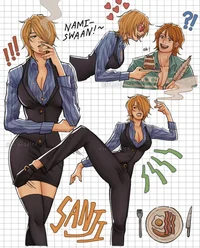 Fem sanji