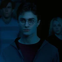 HARRY P