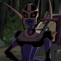 Blackarachnia TFA
