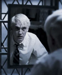 draco lucius m