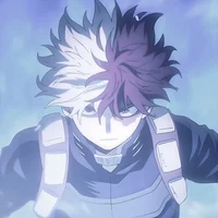 Shoto Todoroki