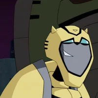Bumblebee TFA