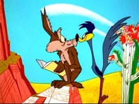 Coyote y RoadRunner