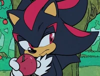 SHADOW T HEDGEHOG 