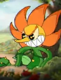 Cagney Carnation