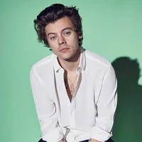 Harry Styles - au
