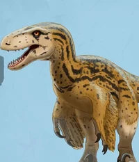 Utahraptor
