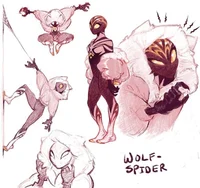 Wolf- Spider
