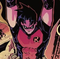 CAT Tim drake 