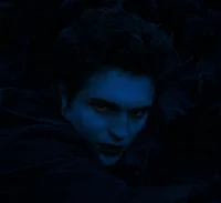 02 Edward Cullen