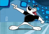 Dudley Puppy