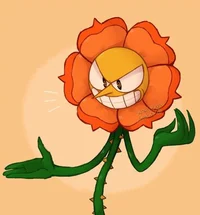 Cagney Carnation