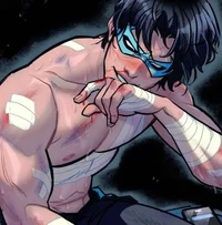 nightwing