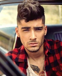 Zayn Malik - 2013
