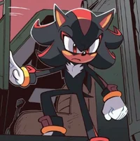 SHADOW T HEDGEHOG 