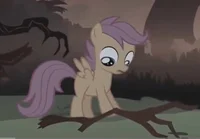 Scootaloo 