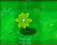 Lucky Clover 