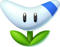 Boomerang Flower