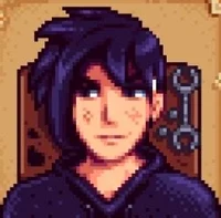 Sebastian - Stardew