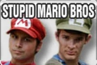 Stupid Mario Bros 